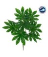 GloboStar® FATSIA 78283 Τεχνητό Φυτό Φάτσια - Μπουκέτο Διακοσμητικών Φυτών - Κλαδιών με Φύλλωμα Πράσινο Υ36cm